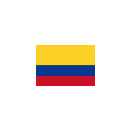 Bandera-Colombia.png.webp?itok=y460wvk5